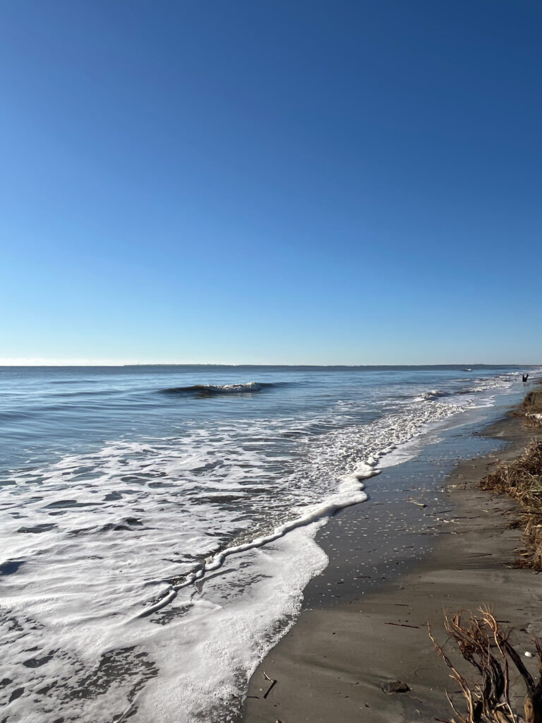 a beach with waves crashing on it (MyCoast AI)