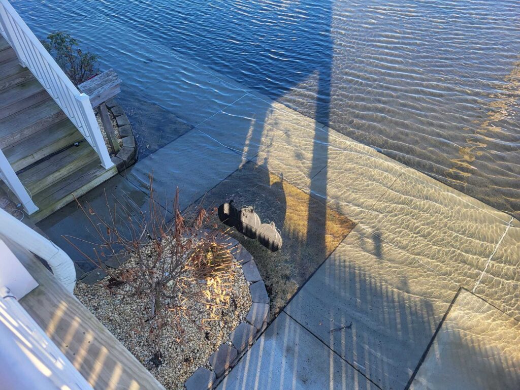 a dog on a deck (MyCoast AI)