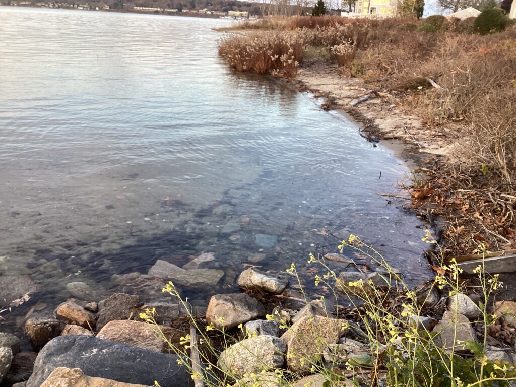 a body of water with rocks and grass around it (MyCoast AI)