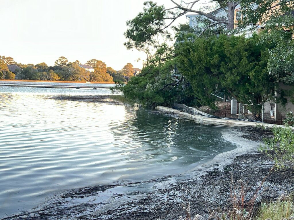 a river with trees on the side (MyCoast AI)