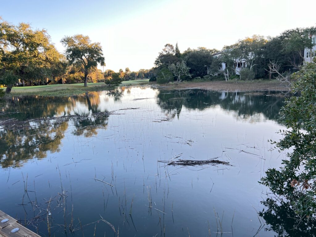 a body of water with trees around it (MyCoast AI)