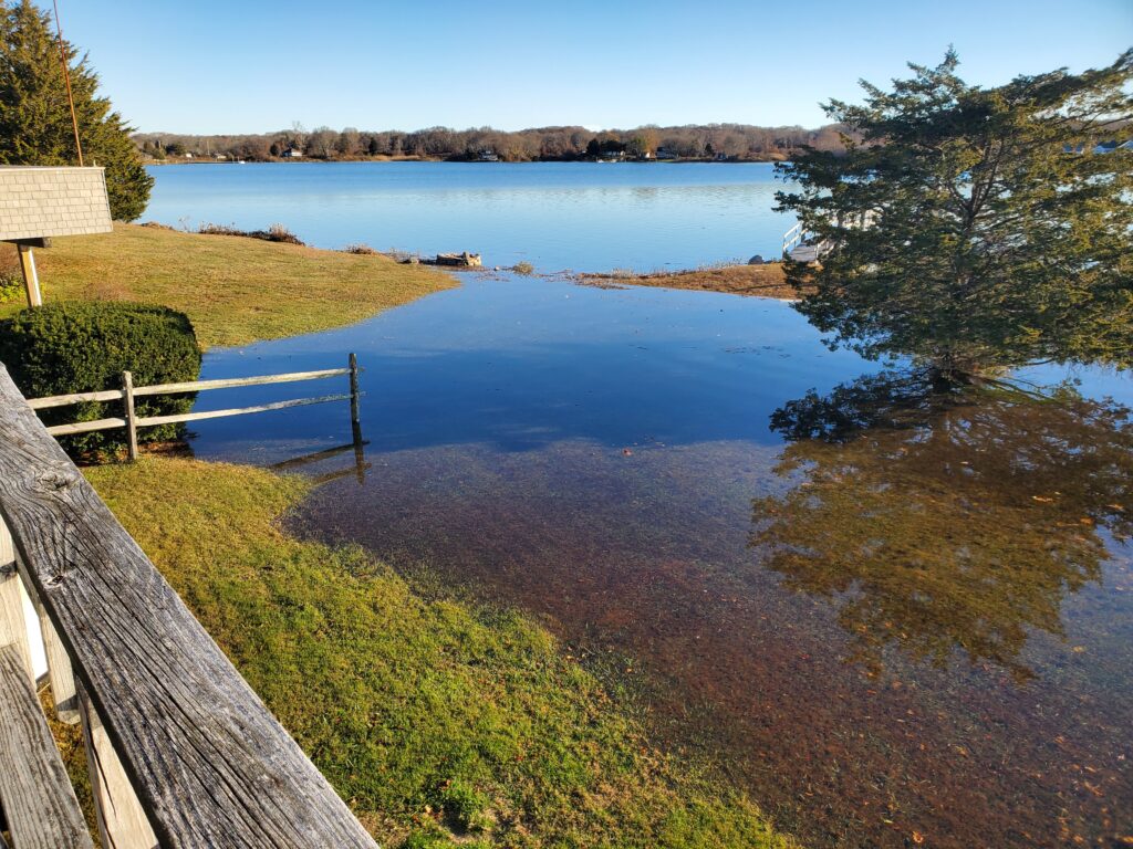 a body of water with a fence and trees around it (MyCoast AI)