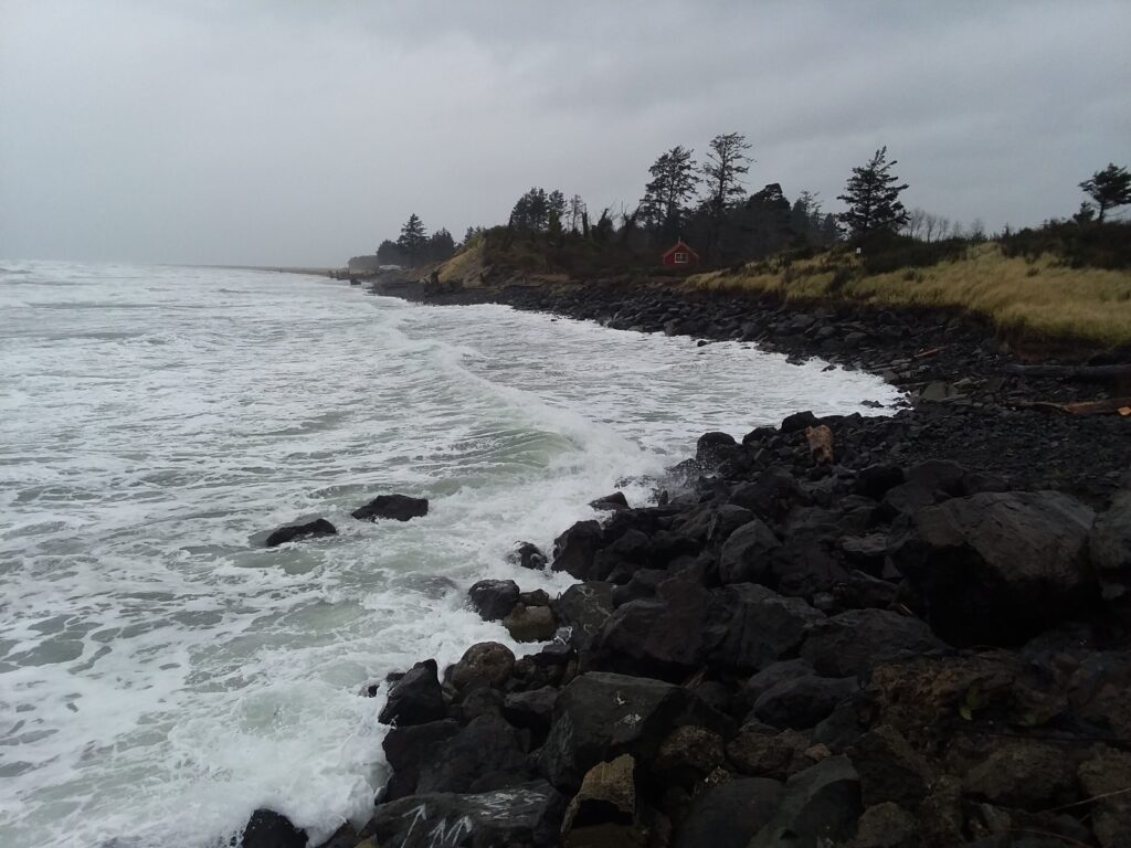 a rocky beach with trees and a hill in the background (MyCoast AI)