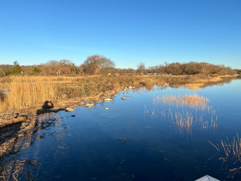 a body of water with grass and trees around it (MyCoast AI)