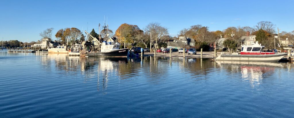 a body of water with boats and buildings along it (MyCoast AI)