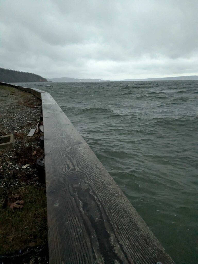 a wooden walkway over a body of water (MyCoast AI)