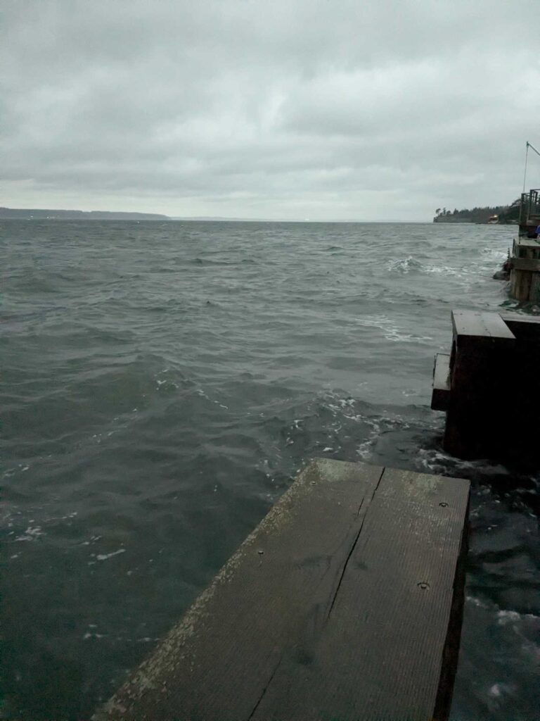 a dock in the water (MyCoast AI)