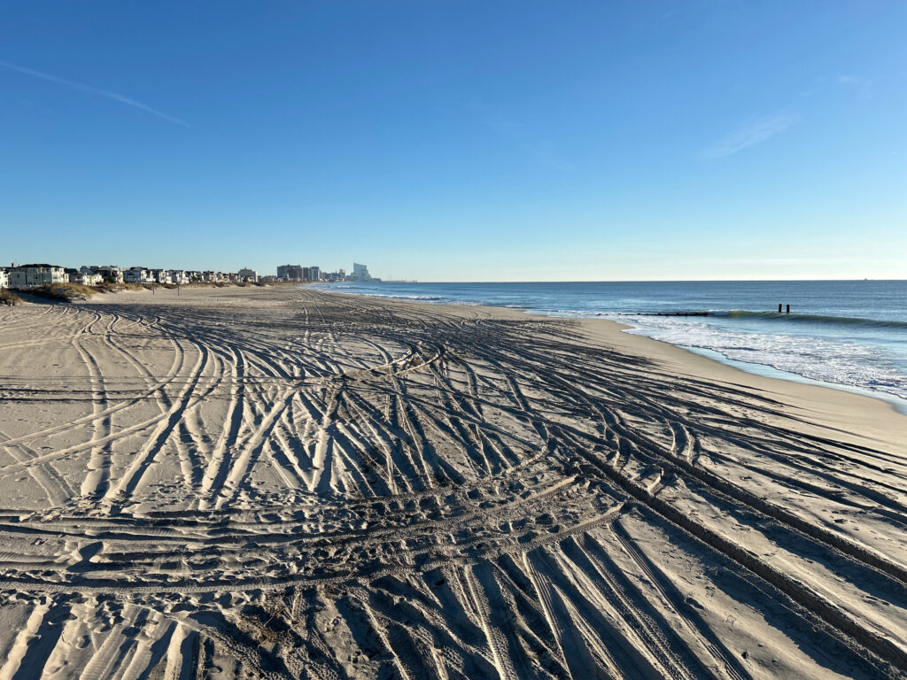 a sandy beach with a body of water in the background (MyCoast AI)