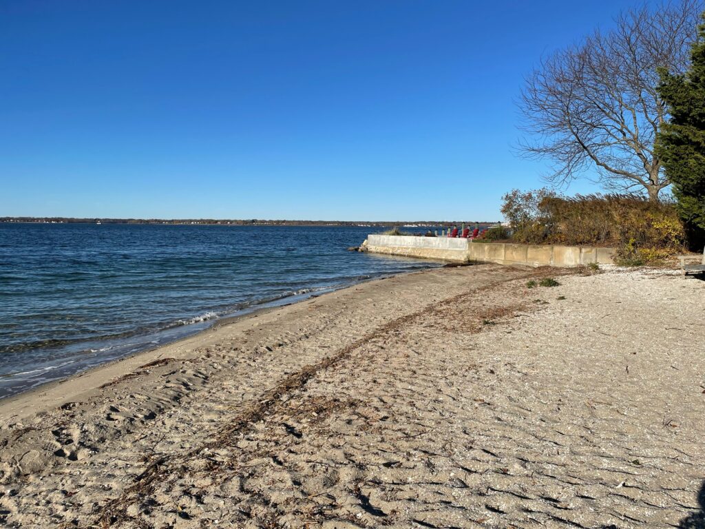 a sandy beach with a body of water in the background (MyCoast AI)