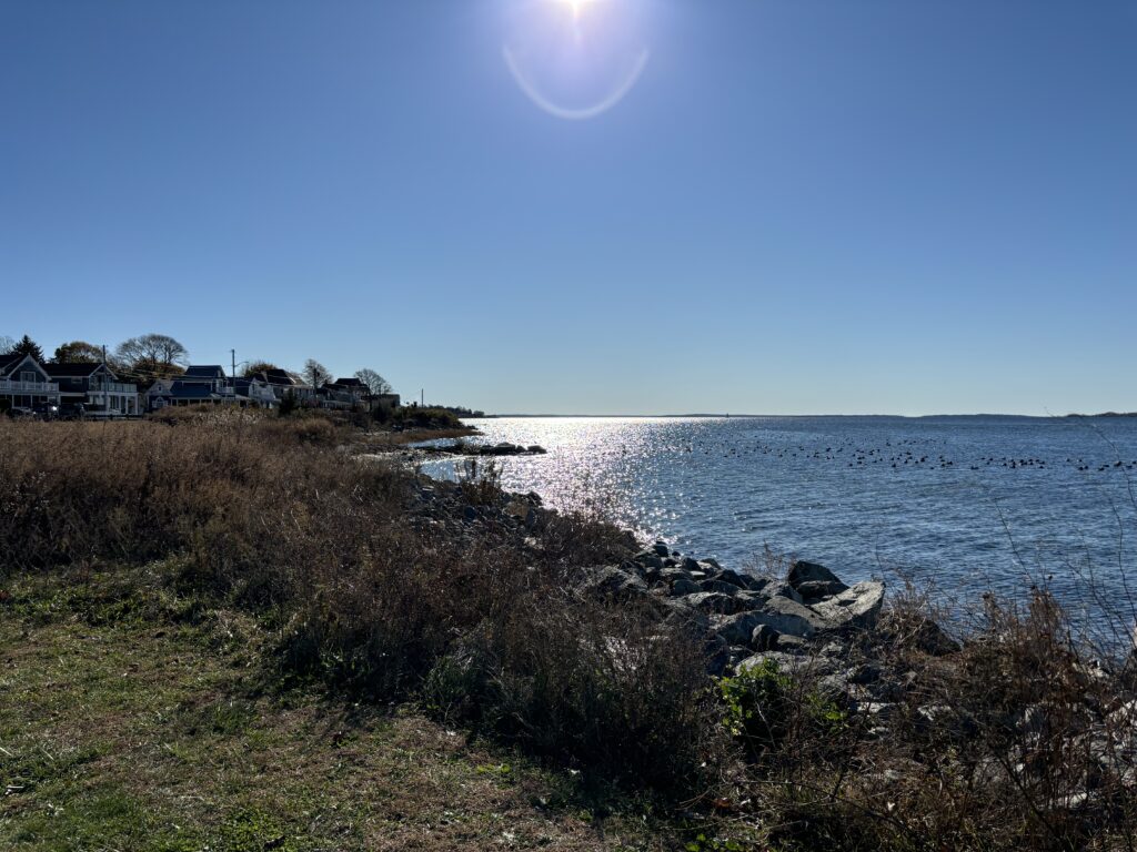 a beach with houses and water (MyCoast AI)