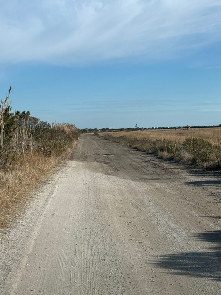 a dirt road with bushes on either side of it (MyCoast AI)