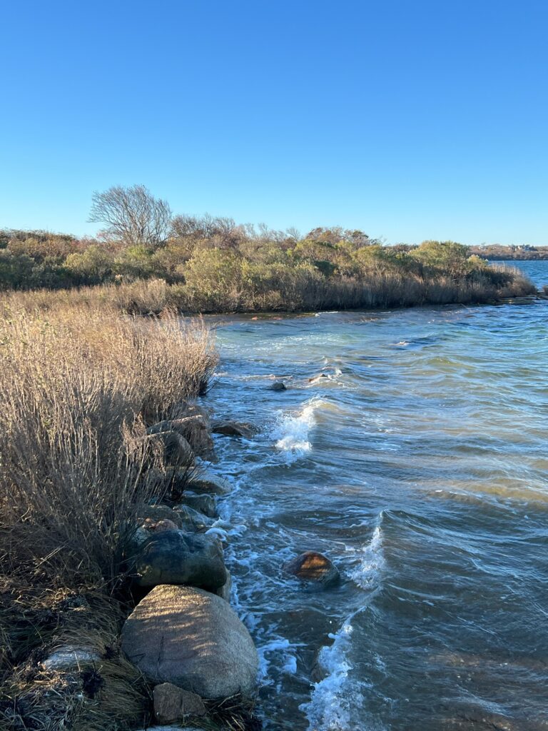 a river with rocks and grass (MyCoast AI)