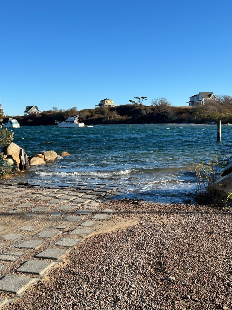 a rocky beach with a body of water and houses in the background (MyCoast AI)