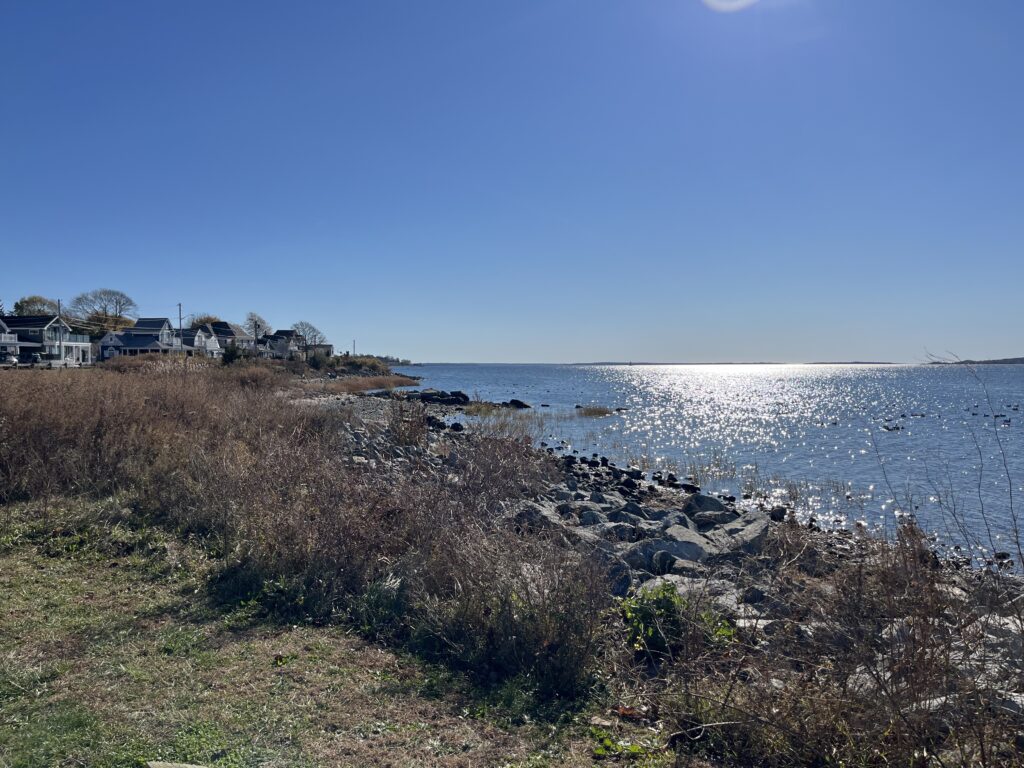 a rocky beach with houses and water (MyCoast AI)