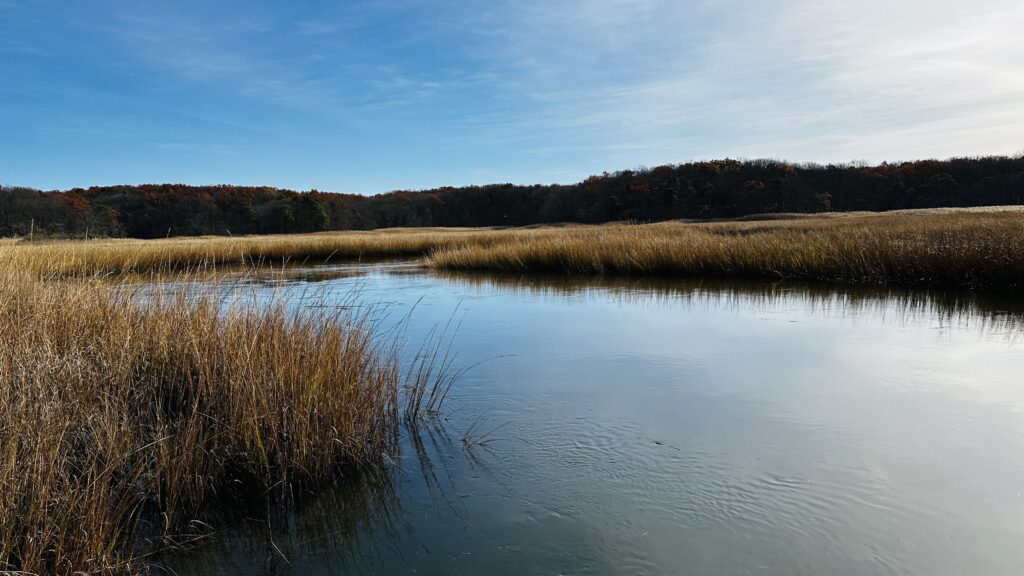 a body of water with grass and trees in the background (MyCoast AI)