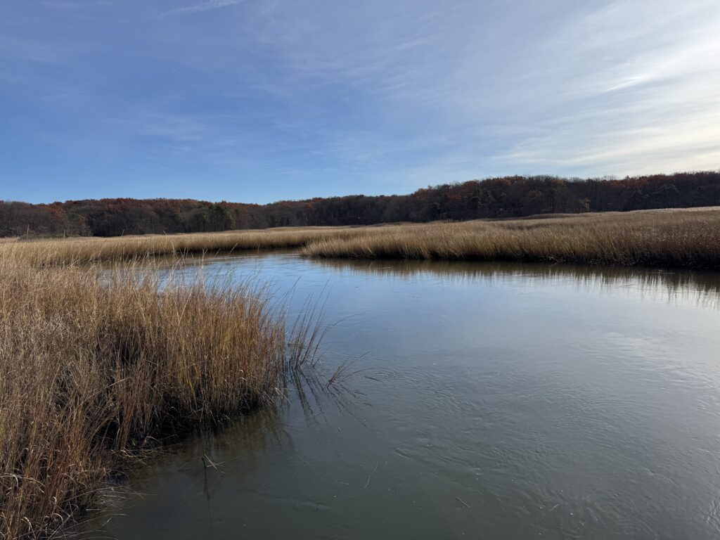 a body of water with grass and trees around it (MyCoast AI)