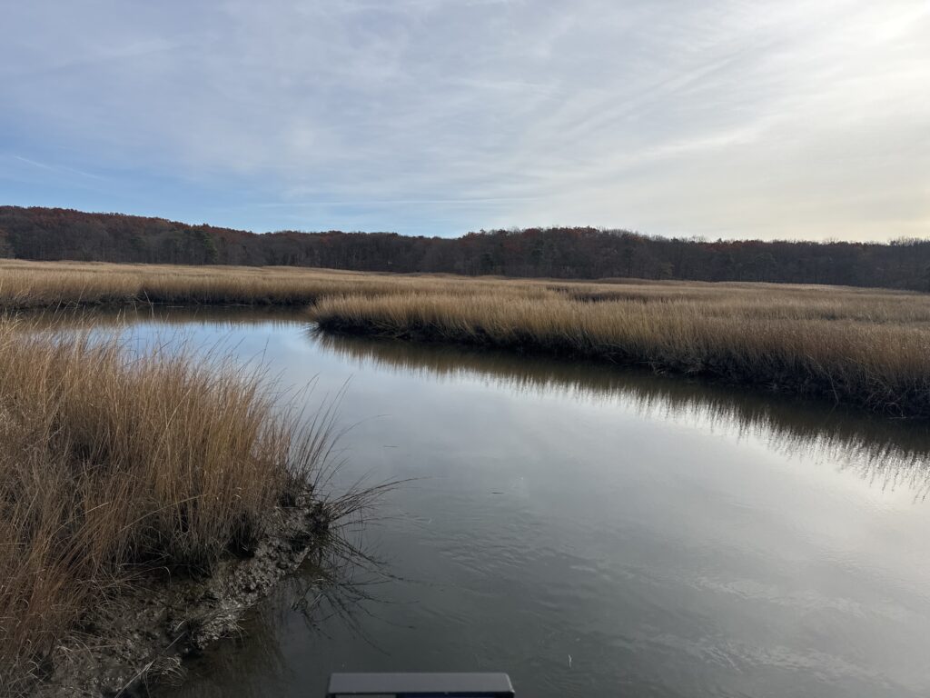 a body of water with grass and trees around it (MyCoast AI)