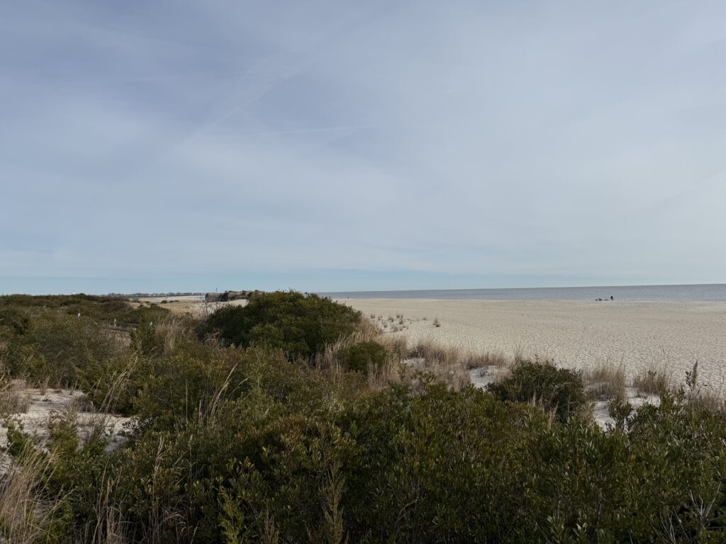 a sandy beach with bushes and trees (MyCoast AI)