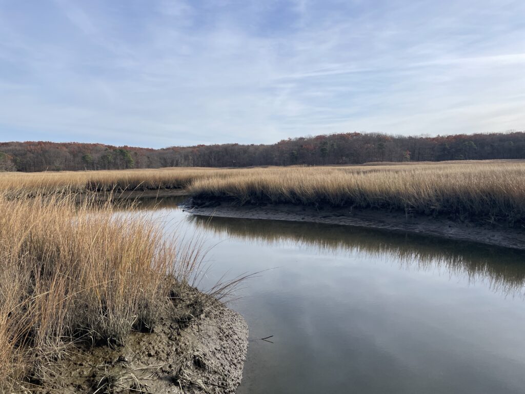 a body of water with grass and trees around it (MyCoast AI)