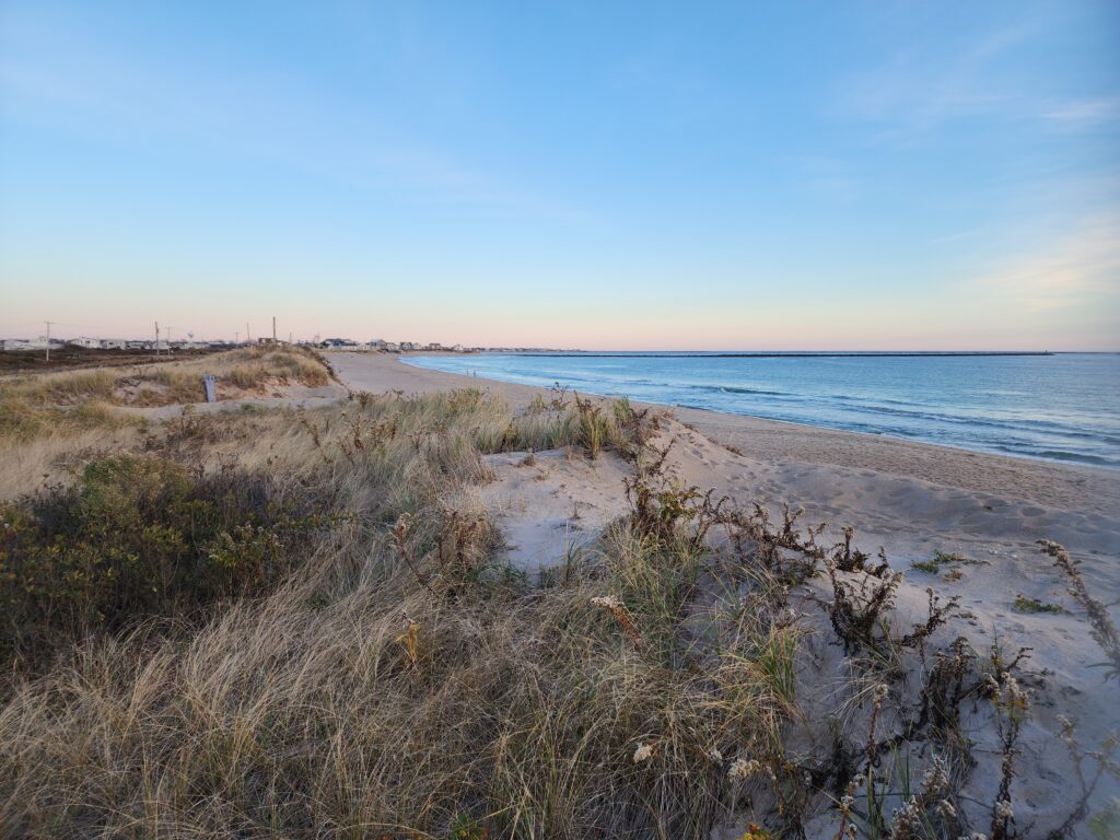 a sandy beach with bushes and water (MyCoast AI)