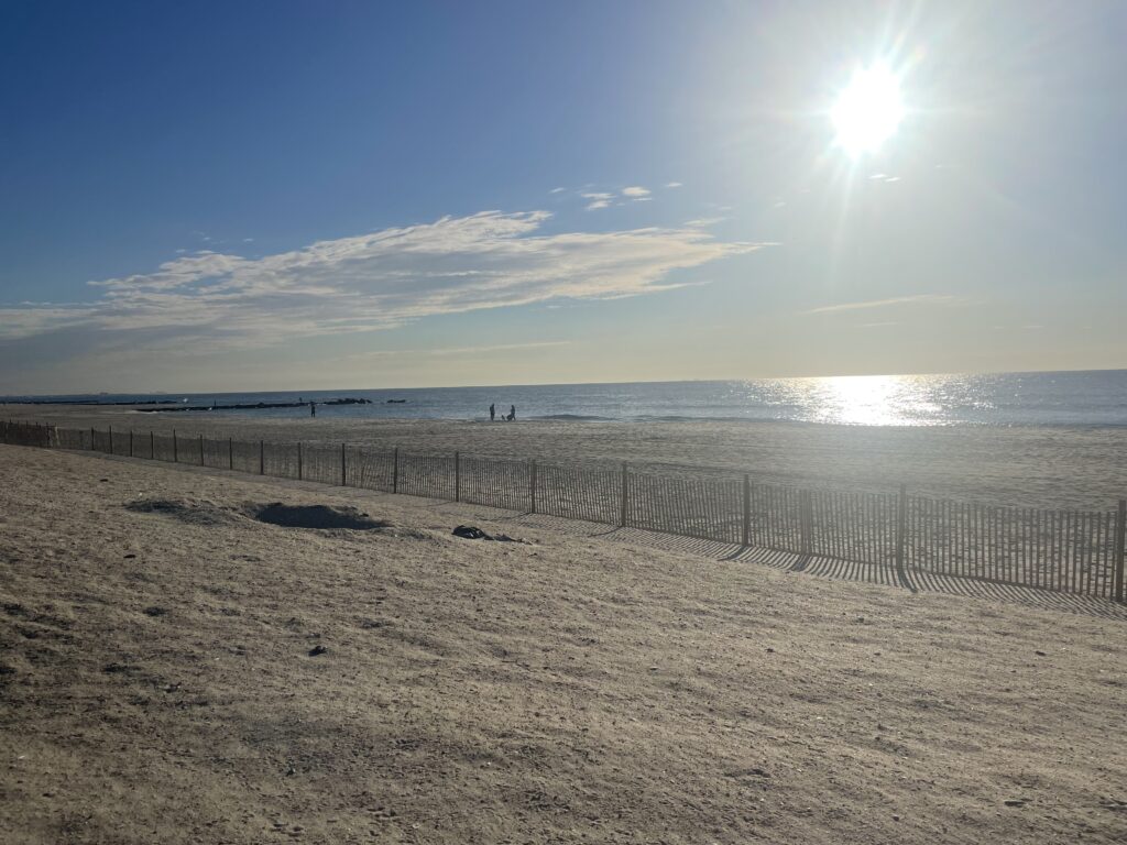 a sandy beach with a fence and water in the background (MyCoast AI)