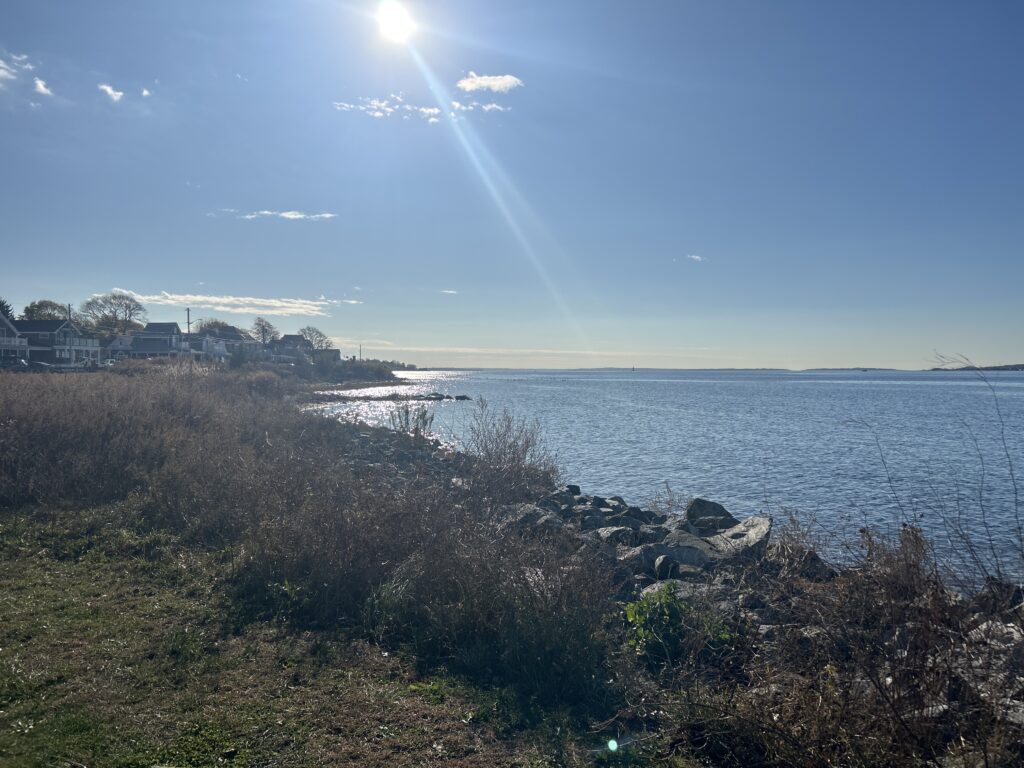 a body of water with grass and trees around it (MyCoast AI)