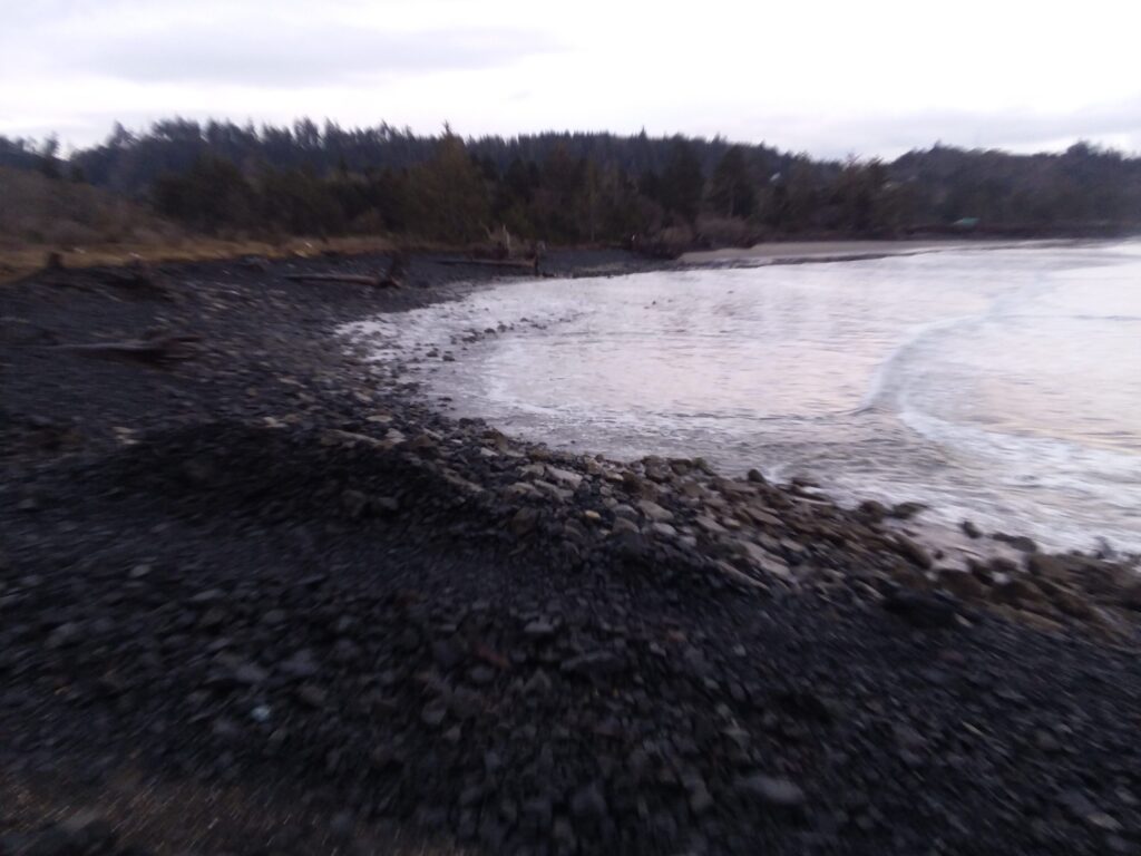 a rocky beach with a body of water and trees in the background (MyCoast AI)