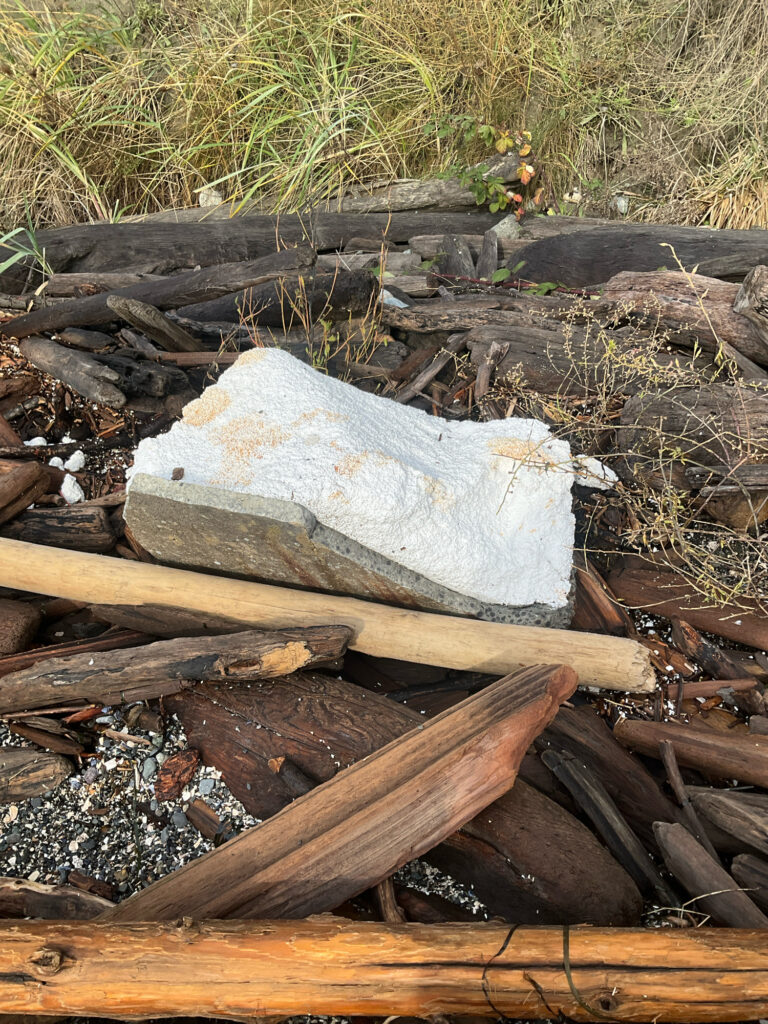 a pile of wood and sticks (MyCoast AI)