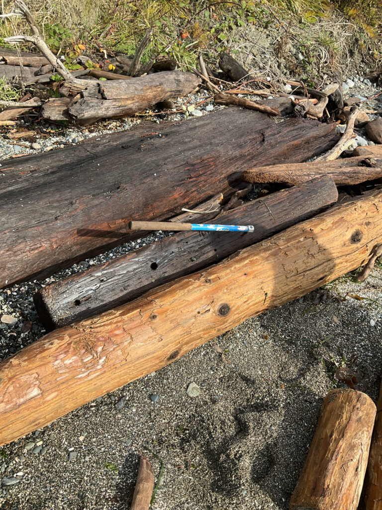 a wood plank with a blue pen on it (MyCoast AI)