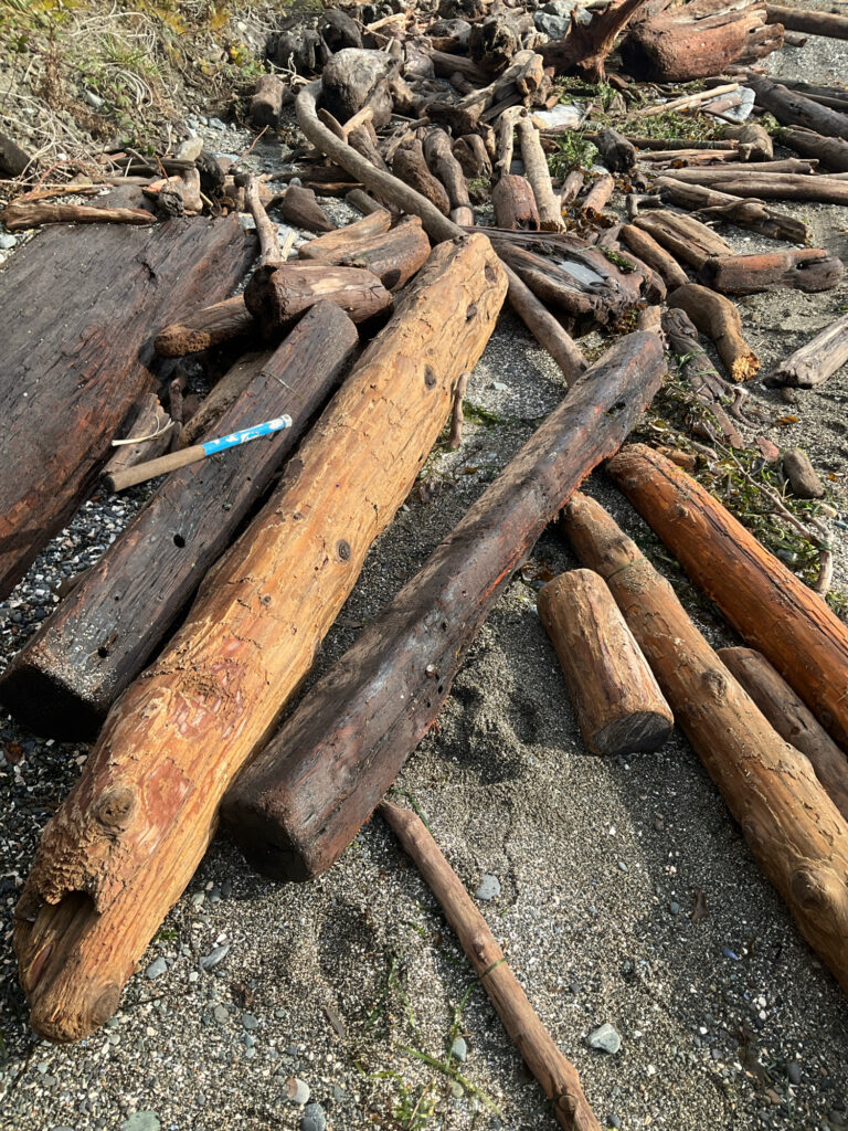 a group of wood pieces (MyCoast AI)