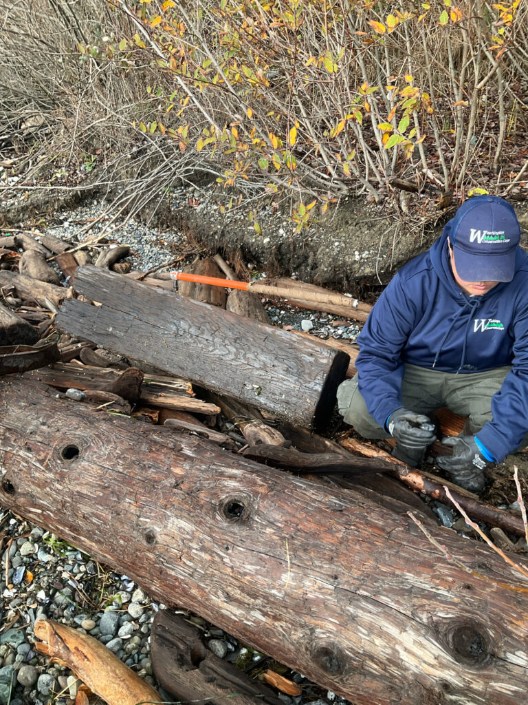 a man cutting down a tree (MyCoast AI)