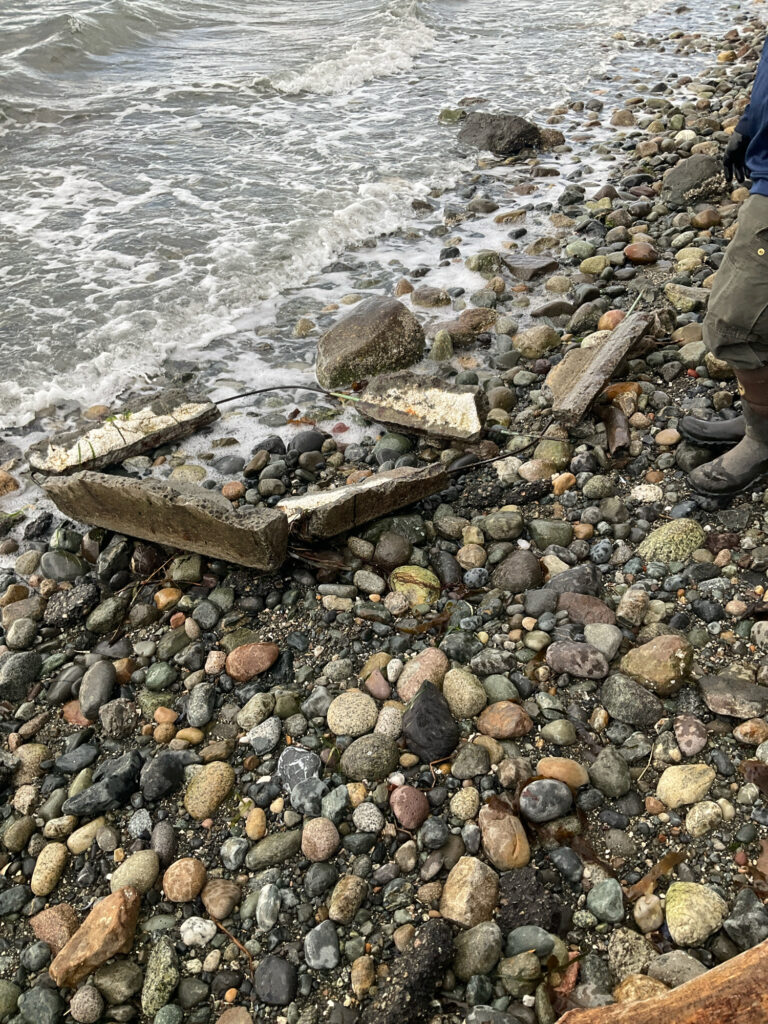 a rocky shore with a stream (MyCoast AI)