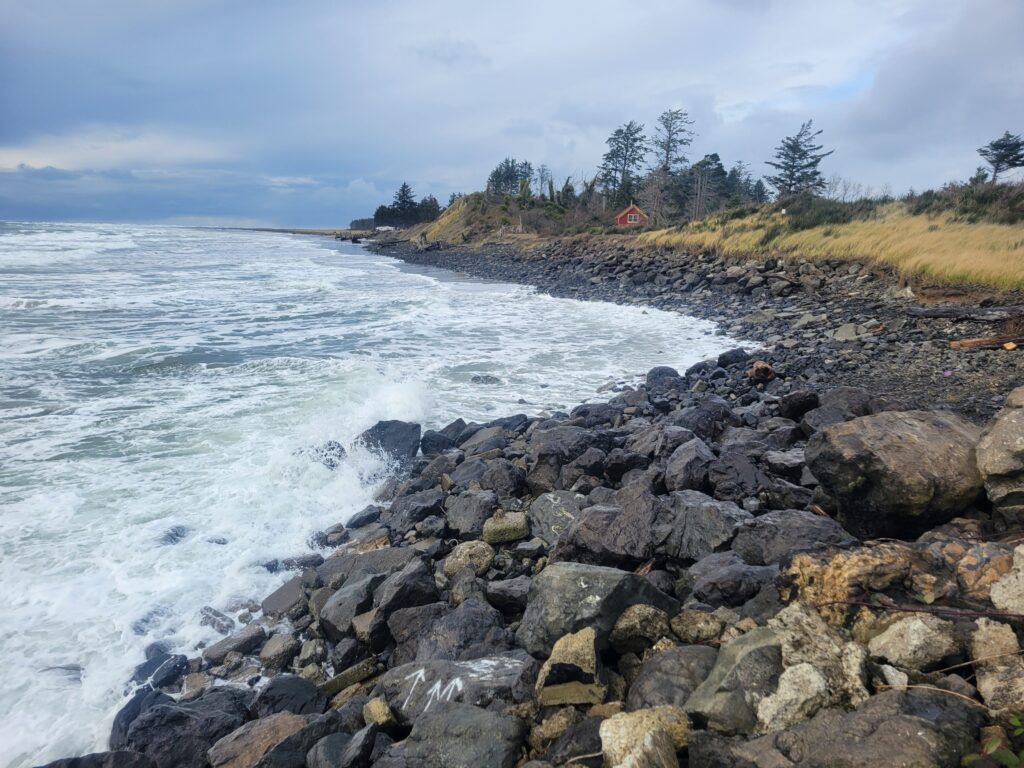 a rocky shore with trees and water (MyCoast AI)