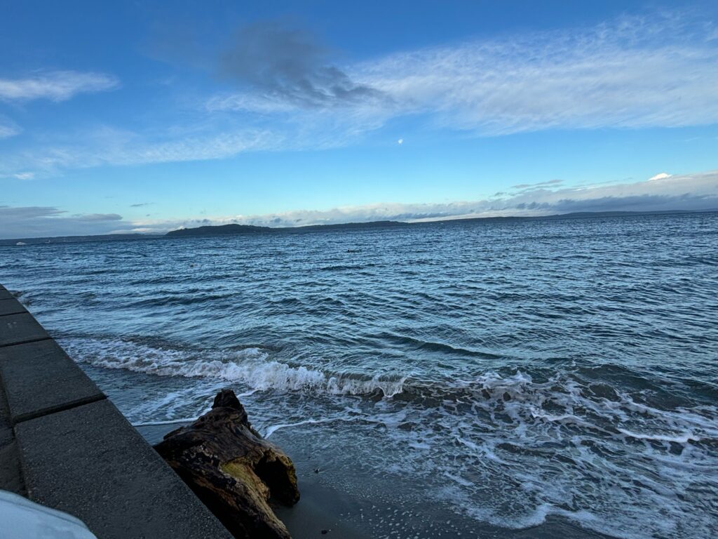a body of water with a rock in the foreground (MyCoast AI)