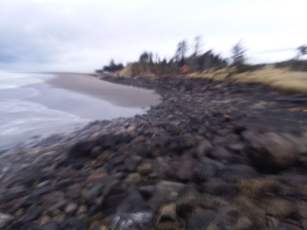 a rocky beach with trees in the background (MyCoast AI)