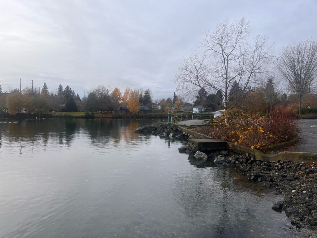 a body of water with trees and a bridge in the background (MyCoast AI)