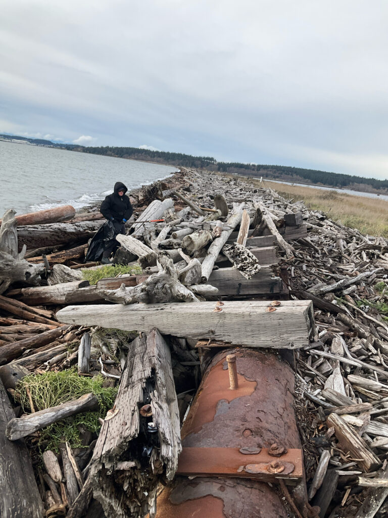 a person standing on a pile of wood by the water (MyCoast AI)
