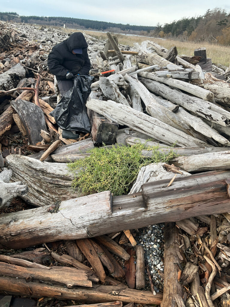 a person standing next to a pile of cut down trees (MyCoast AI)