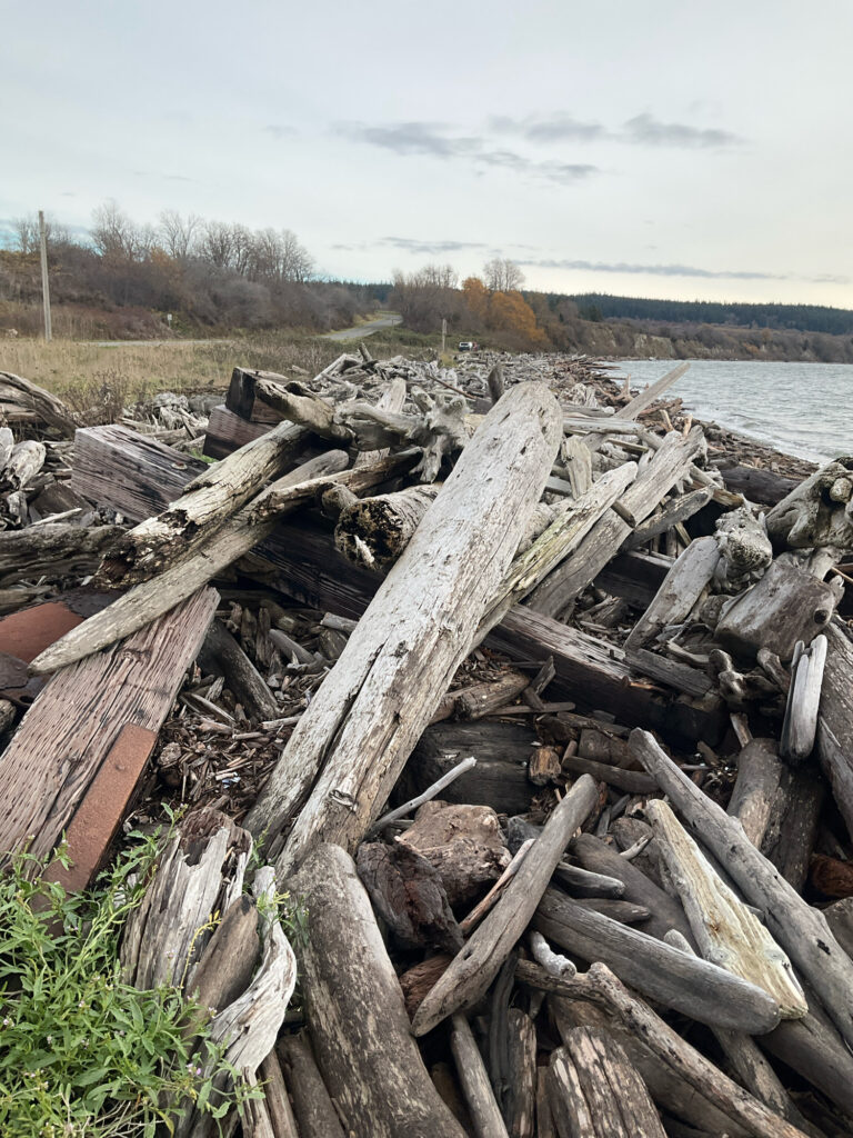 a pile of wood next to a body of water (MyCoast AI)