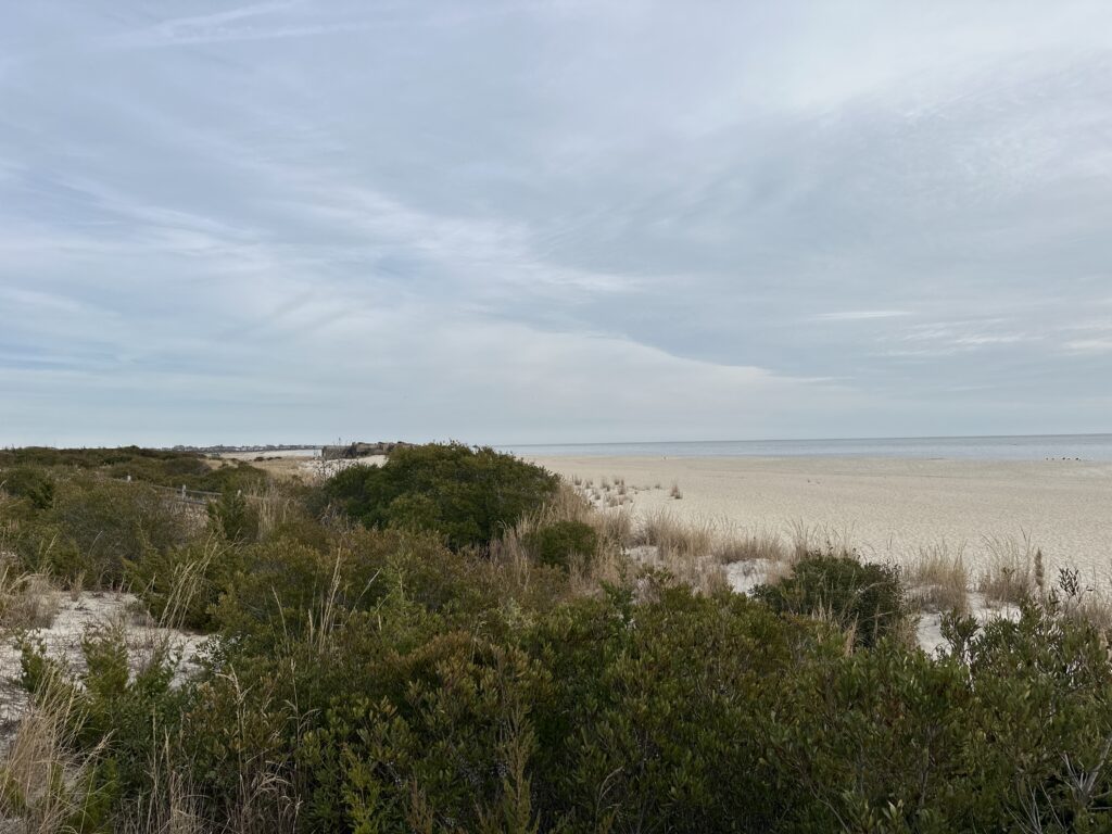 a beach with bushes and trees (MyCoast AI)