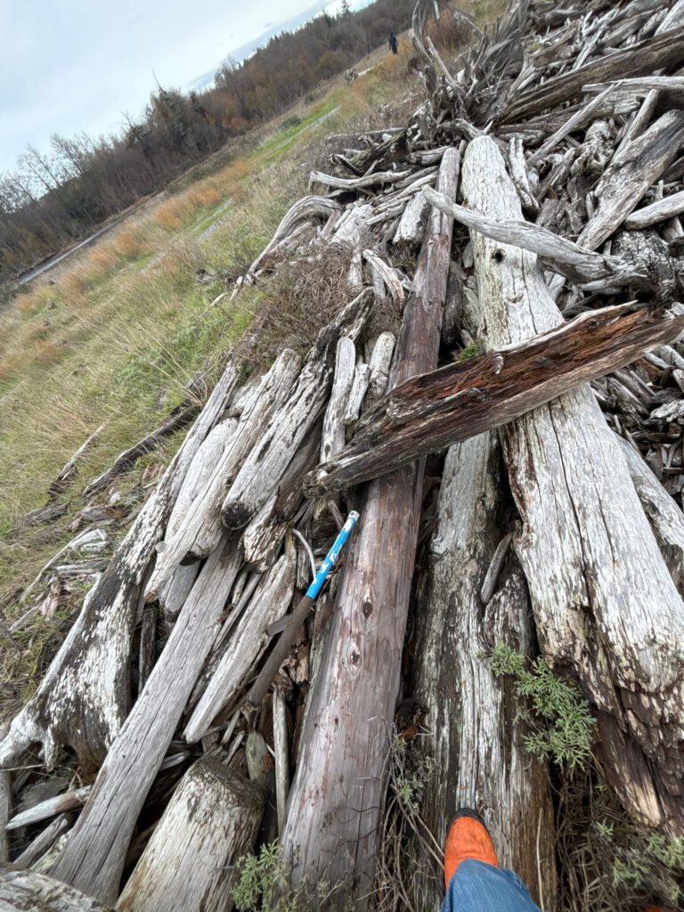 a person standing next to a tree stump (MyCoast AI)