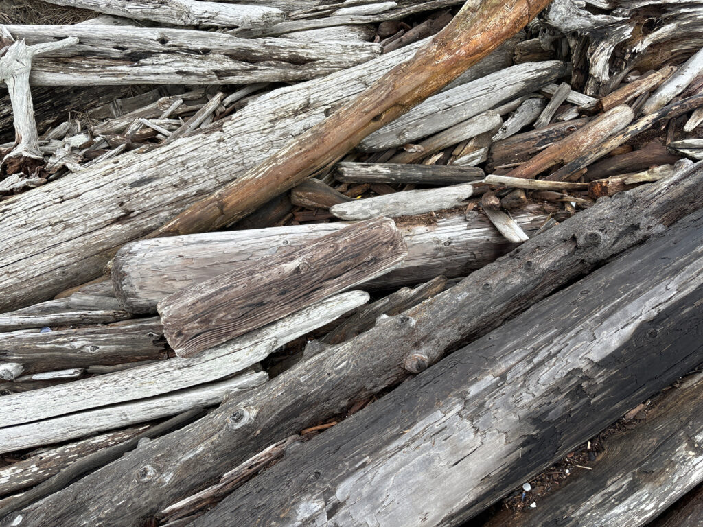 a close up of some wood (MyCoast AI)
