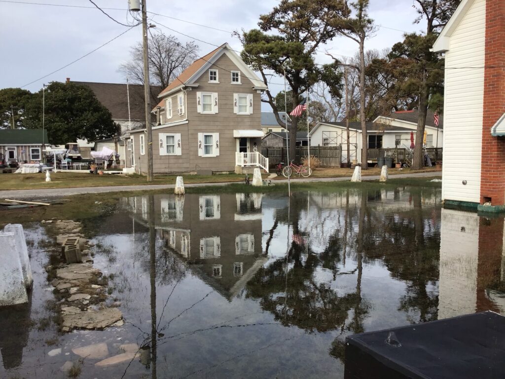 a flooded street with houses and trees (MyCoast AI)