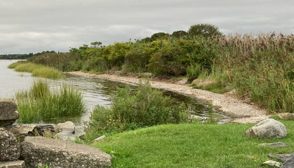 a river with grass and rocks (MyCoast AI)
