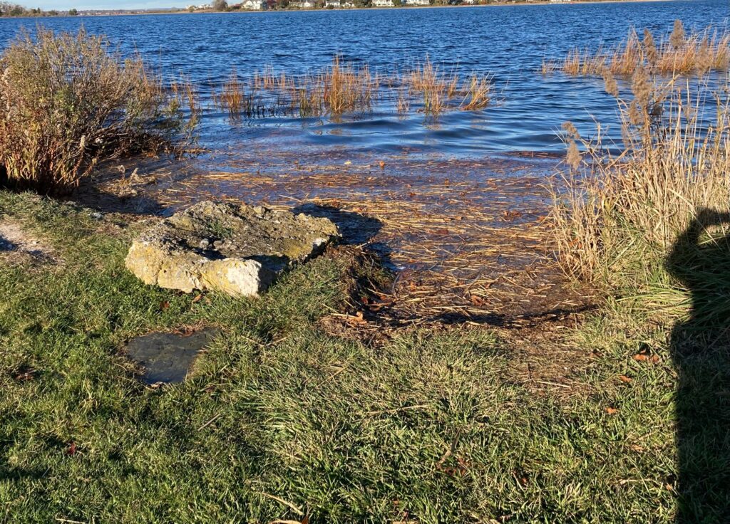 a grassy area with rocks and water in the background (MyCoast AI)