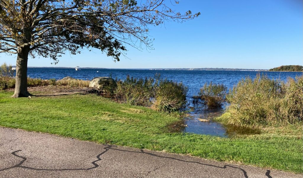 a path leading to a body of water (MyCoast AI)