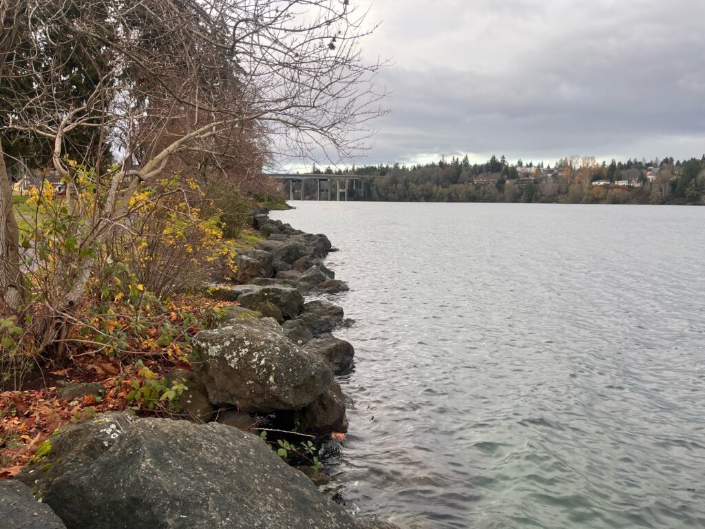 a body of water with rocks and trees around it (MyCoast AI)