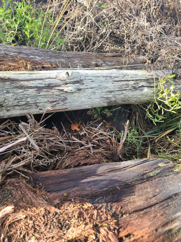 a wooden fence in the grass (MyCoast AI)