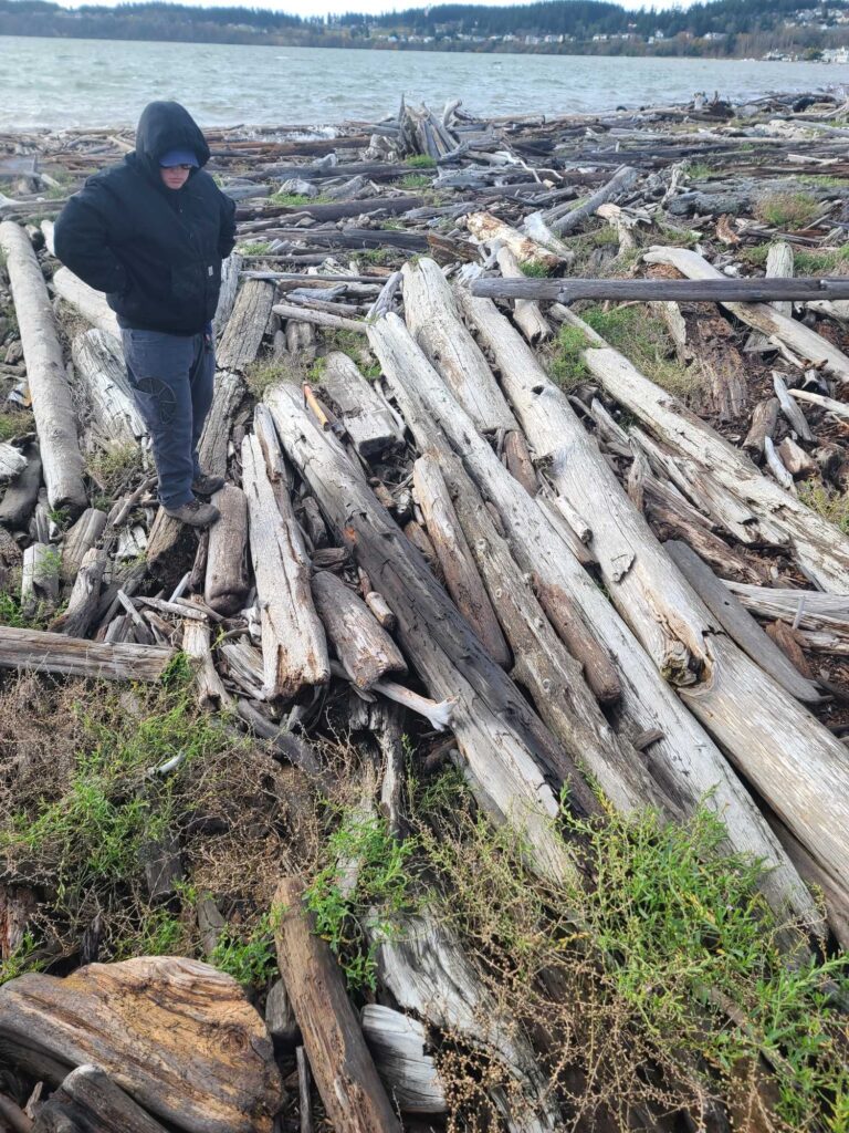 a man standing next to a pile of logs on a beach (MyCoast AI)