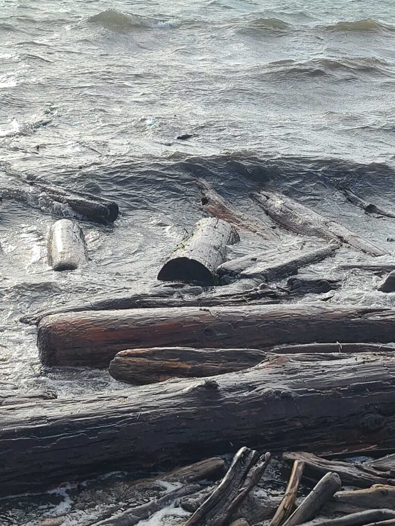 a rocky beach with waves crashing (MyCoast AI)